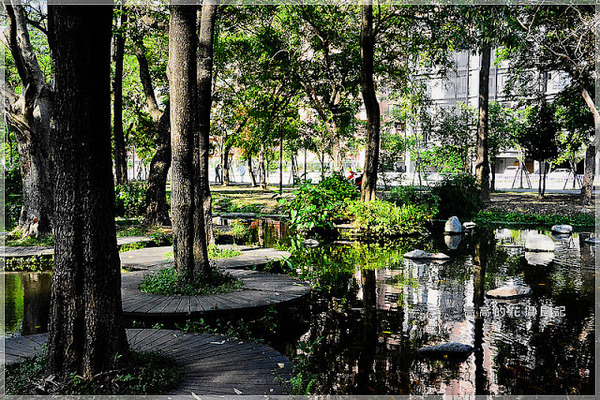 大東公園：【高雄】鳳山區。大東公園 生態溼地教育區 （高雄版迷你忘憂森林）