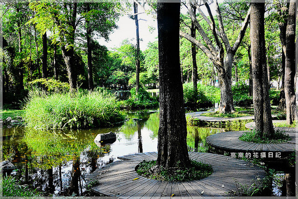 大東公園：【高雄】鳳山區。大東公園 生態溼地教育區 （高雄版迷你忘憂森林）