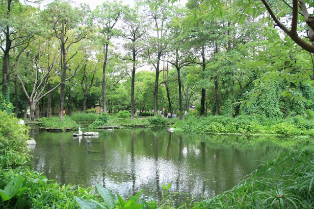 大東濕地公園-26