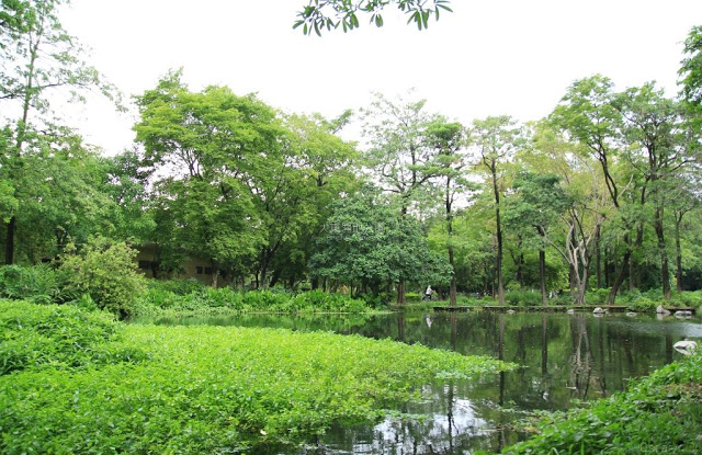 大東濕地公園-3