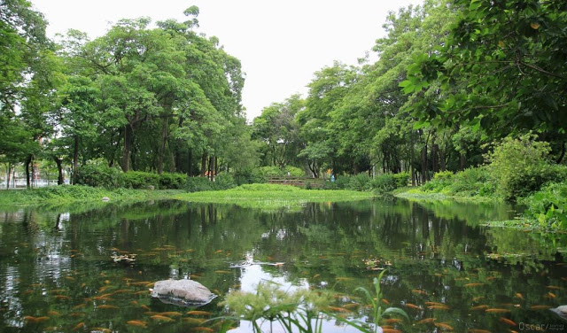 大東濕地公園-27