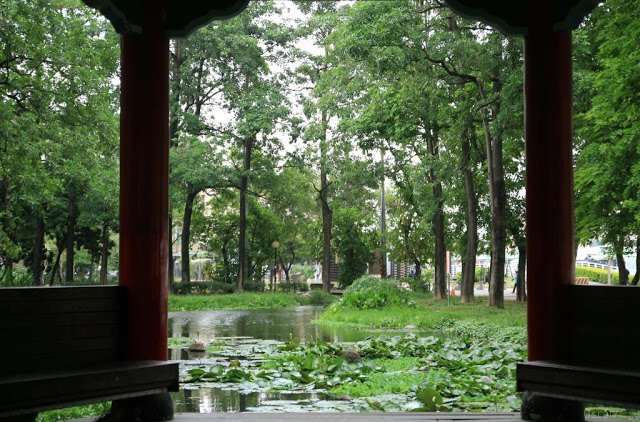 大東濕地公園-13