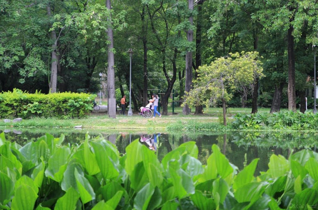 大東濕地公園-28