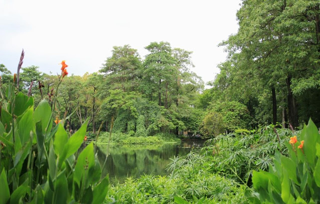 大東濕地公園-7