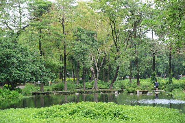 大東濕地公園-2