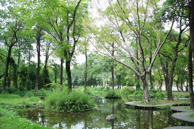 大東濕地公園-15