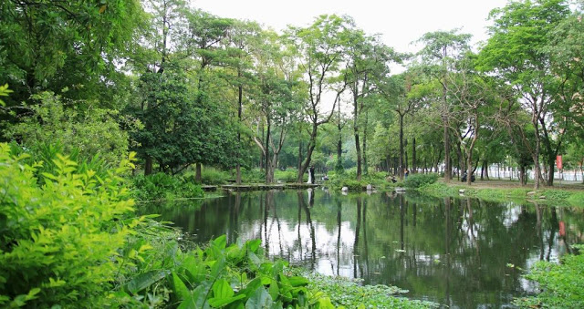 大東濕地公園-24