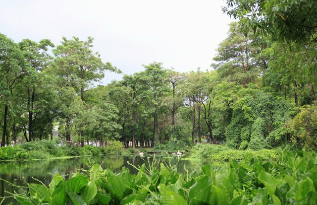 大東濕地公園-9