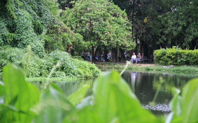 大東濕地公園-29