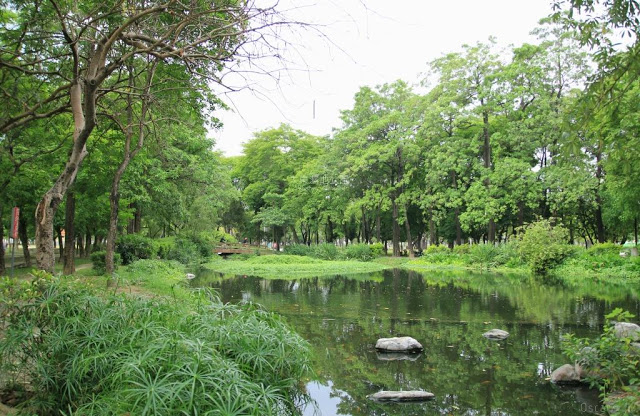 大東濕地公園-4