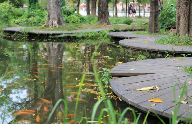 大東濕地公園-16