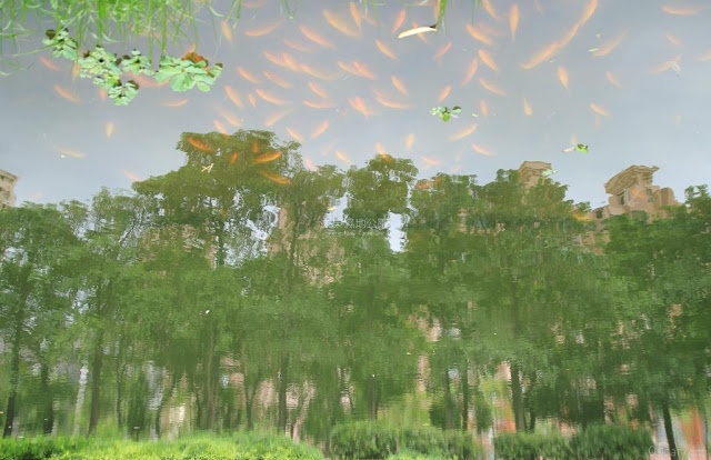 大東濕地公園-10