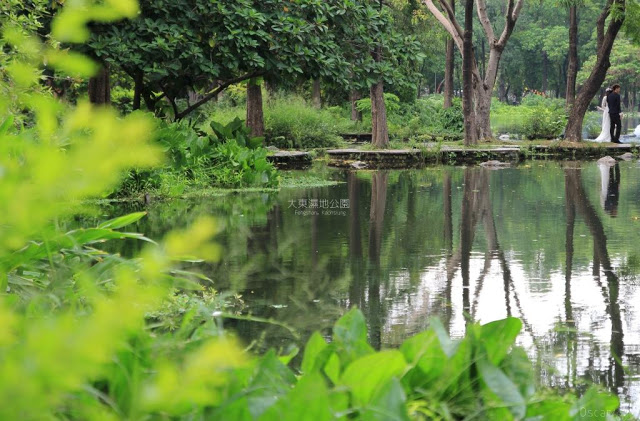 大東濕地公園-22