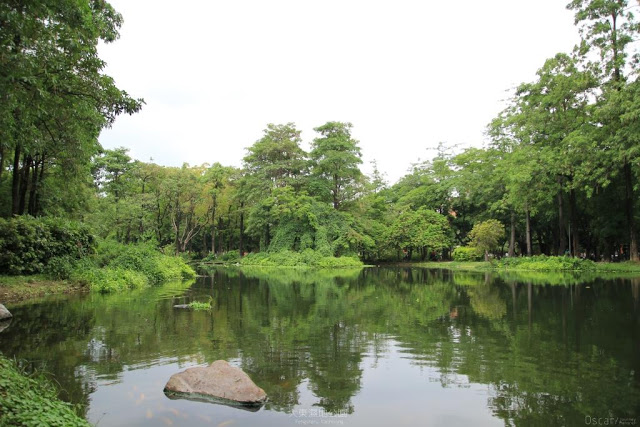 大東濕地公園-5