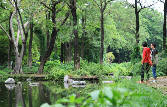 大東濕地公園-30