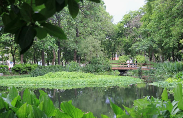 大東濕地公園-23