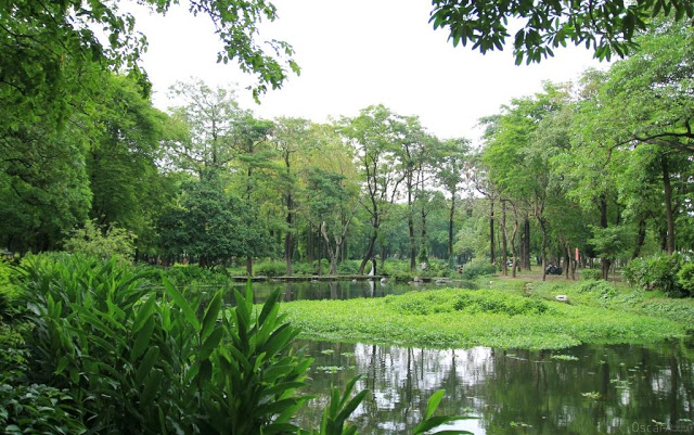 大東濕地公園-25