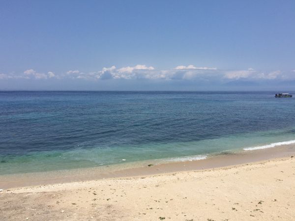 FullSizeRender (1).jpg