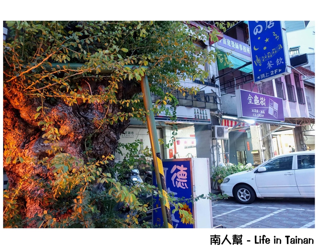 台南金龜樹冰淇淋專賣店