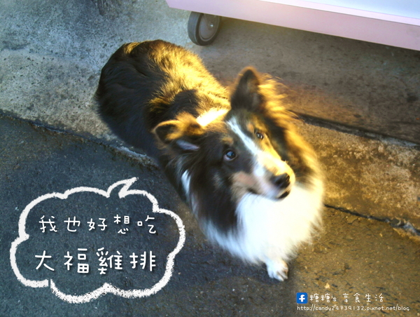 大福雞排(黎明店):〖台中│美食〗大福雞排 ❤ 香噴噴的雞腿排出爐!!鮮嫩又多汁,咬下去還會大噴汁!!還有炸冰淇淋也很特別,外脆內冰,爽口不油膩!!