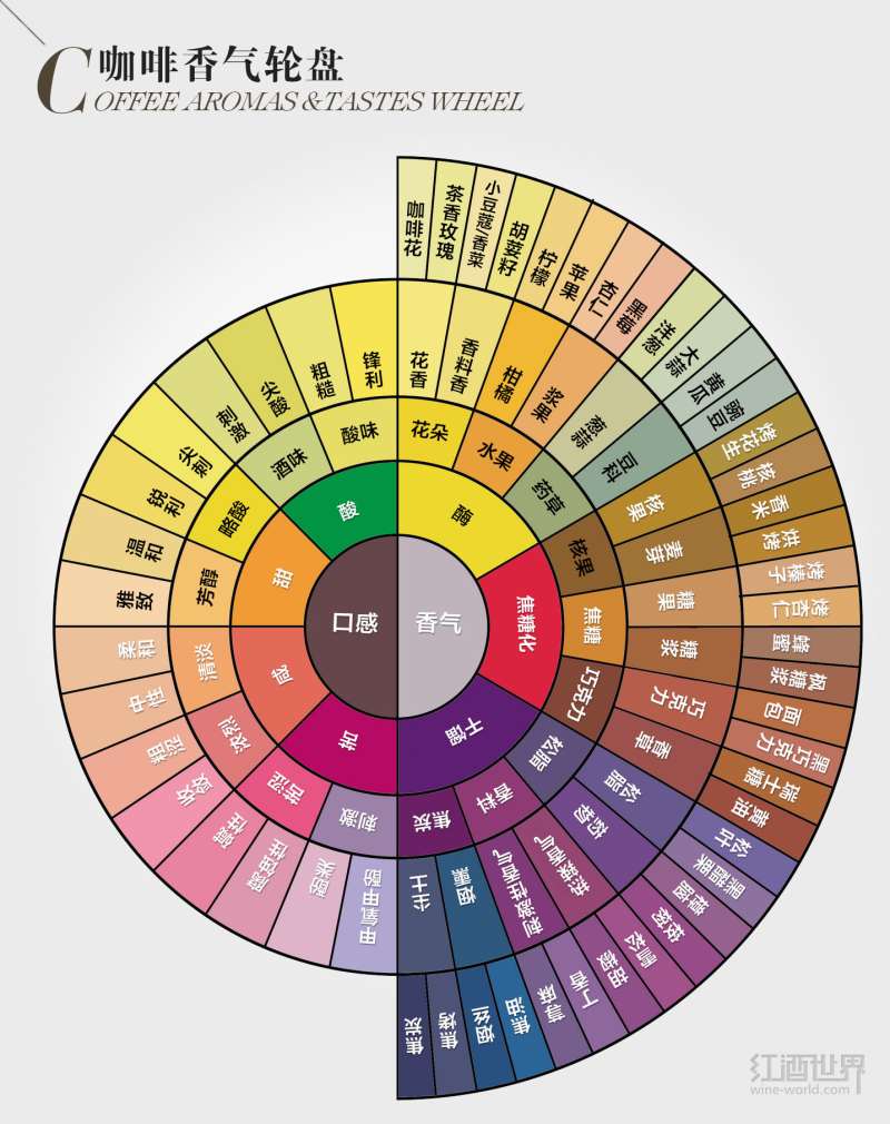 咖啡風味輪