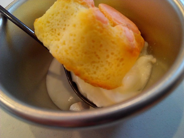 Musicat Cafe：【臺中Ω東區】Ｍｕｓｉｃａｔ　Ｃａｆｅ。關懷流浪毛小孩的貓咪主題餐廳