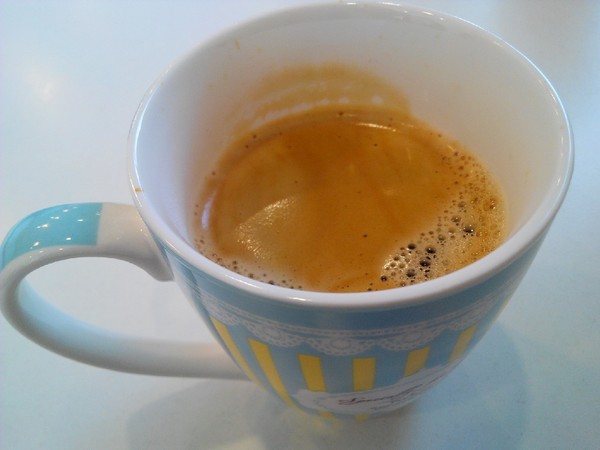 Musicat Cafe：【臺中Ω東區】Ｍｕｓｉｃａｔ　Ｃａｆｅ。關懷流浪毛小孩的貓咪主題餐廳