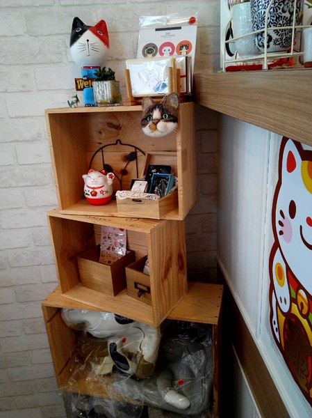 Musicat Cafe：【臺中Ω東區】Ｍｕｓｉｃａｔ　Ｃａｆｅ。關懷流浪毛小孩的貓咪主題餐廳