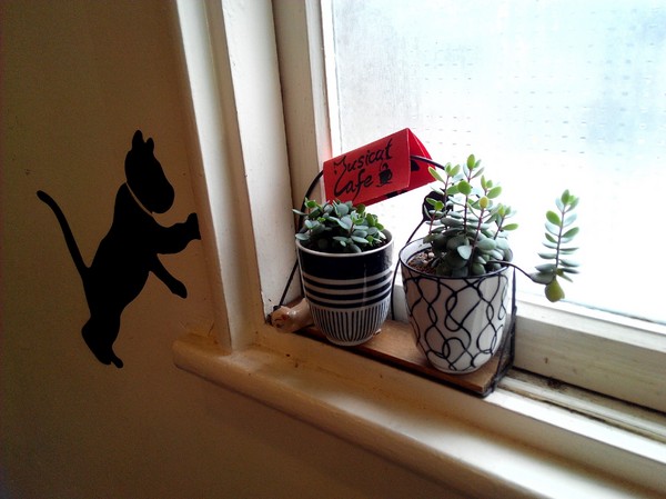 Musicat Cafe：【臺中Ω東區】Ｍｕｓｉｃａｔ　Ｃａｆｅ。關懷流浪毛小孩的貓咪主題餐廳