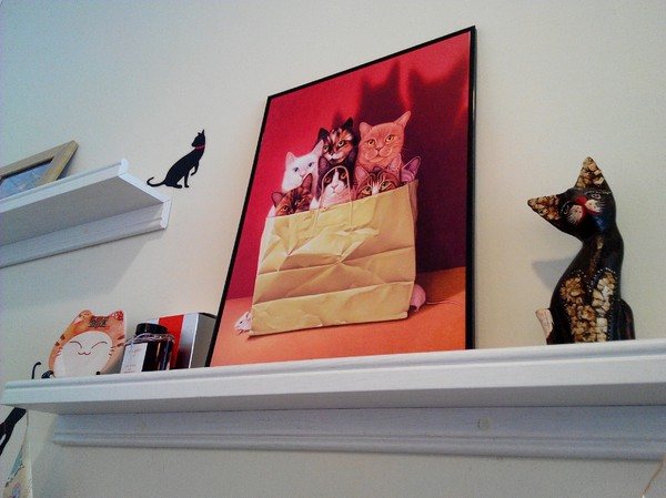 Musicat Cafe：【臺中Ω東區】Ｍｕｓｉｃａｔ　Ｃａｆｅ。關懷流浪毛小孩的貓咪主題餐廳