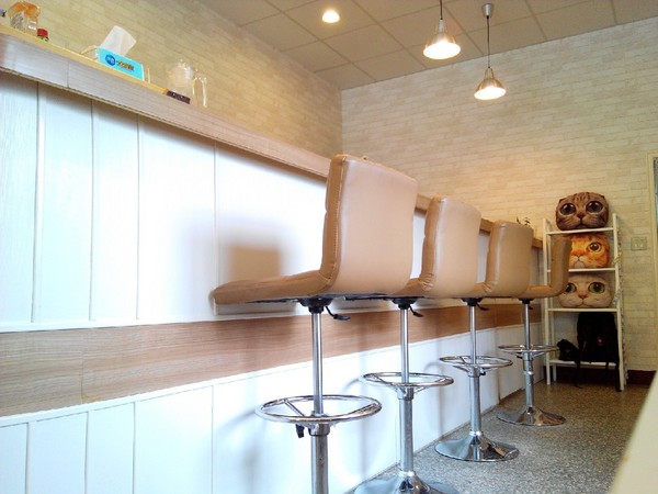 Musicat Cafe：【臺中Ω東區】Ｍｕｓｉｃａｔ　Ｃａｆｅ。關懷流浪毛小孩的貓咪主題餐廳