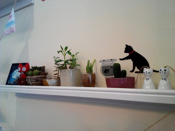 Musicat Cafe：【臺中Ω東區】Ｍｕｓｉｃａｔ　Ｃａｆｅ。關懷流浪毛小孩的貓咪主題餐廳