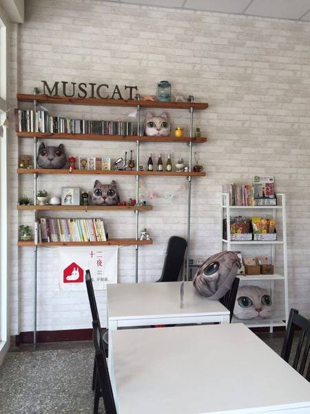 Musicat Cafe：【臺中Ω東區】Ｍｕｓｉｃａｔ　Ｃａｆｅ。關懷流浪毛小孩的貓咪主題餐廳