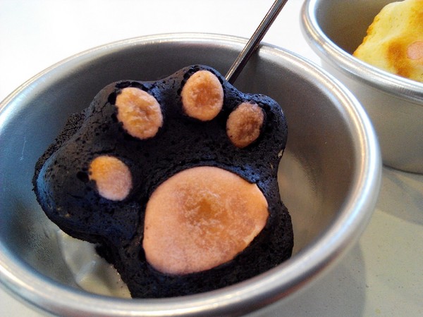 Musicat Cafe：【臺中Ω東區】Ｍｕｓｉｃａｔ　Ｃａｆｅ。關懷流浪毛小孩的貓咪主題餐廳