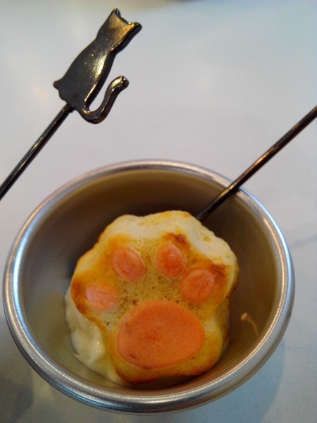 Musicat Cafe：【臺中Ω東區】Ｍｕｓｉｃａｔ　Ｃａｆｅ。關懷流浪毛小孩的貓咪主題餐廳