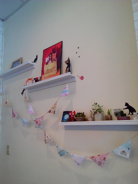 Musicat Cafe：【臺中Ω東區】Ｍｕｓｉｃａｔ　Ｃａｆｅ。關懷流浪毛小孩的貓咪主題餐廳