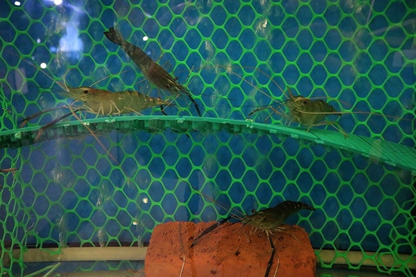 賴一下生猛海鮮:【新北市食記】三重好吃熱炒店~賴一下生猛海鮮/三五好友吃飯聊天/與家庭聚餐好去處/開運年菜外帶整套特價5880元