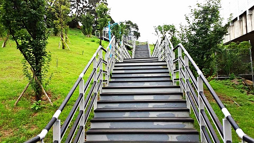 營盤生態公園:【桃園景點】營盤生態環保公園~誰說下雨天沒去處&不受天候限制的親子遊樂好去處