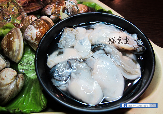 鍋來坐_阿君君-4419