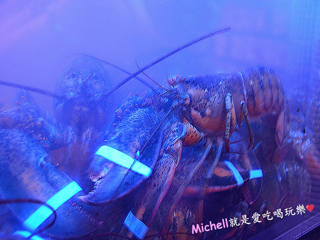 龍波斯特-龍蝦三明治專門店