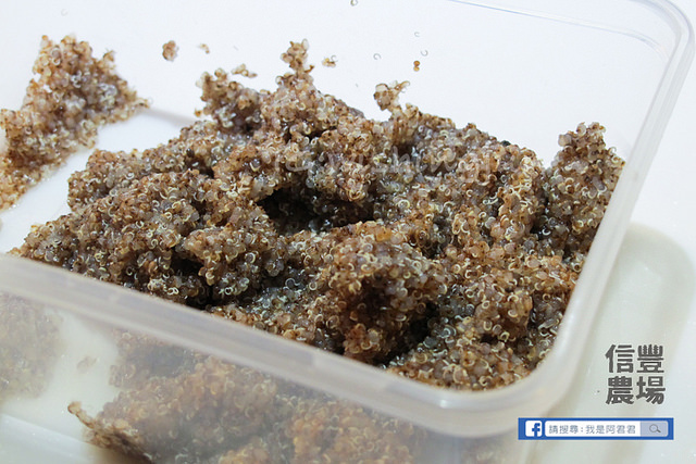 信豐x裸市集 料理分享會_阿君君-4066