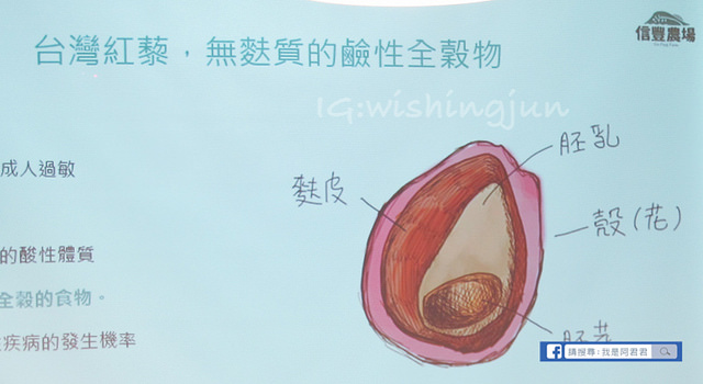 信豐x裸市集 料理分享會_阿君君-4051