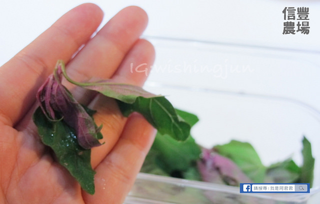 信豐x裸市集 料理分享會_阿君君-4079