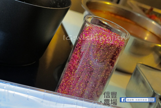 信豐x裸市集 料理分享會_阿君君-4091