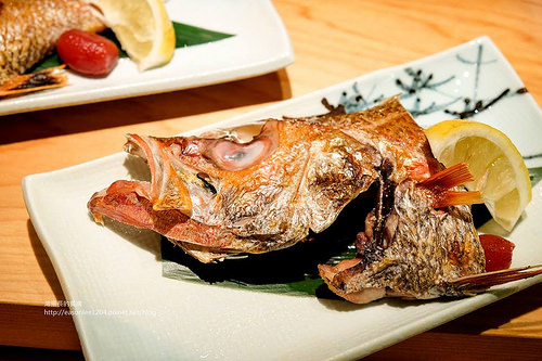 14633094_1247202291967421_1967633278599700178_n