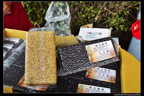 20160110桃園八德霄裡大池落羽松14