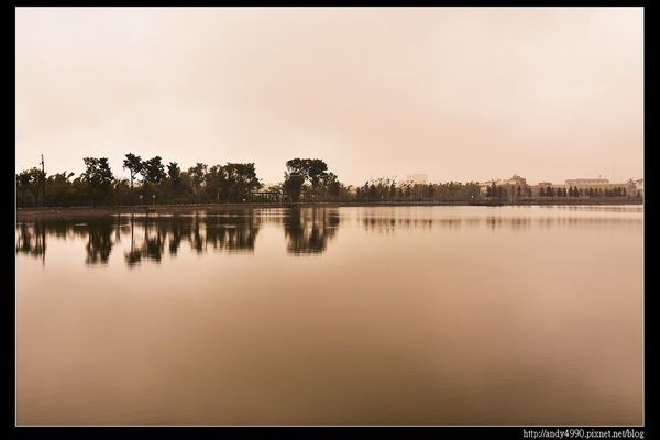 20151227桃園八德霄裡大池落羽松13