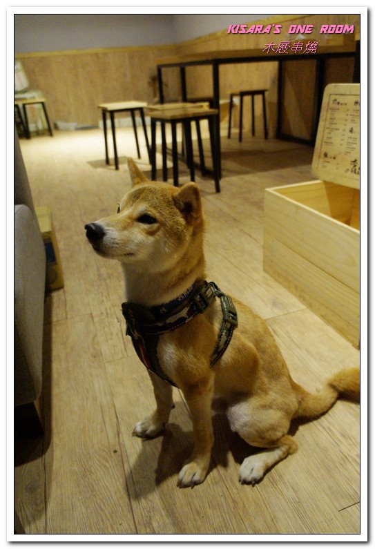 木屐串燒:市民大道居酒屋.以木屐作為主題的個性風美味居酒屋──木屐串燒