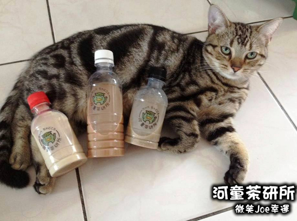 河童茶研所-飲品販賣機：[台中北區]河童茶研所，重拾童年樂趣~投幣式飲品!