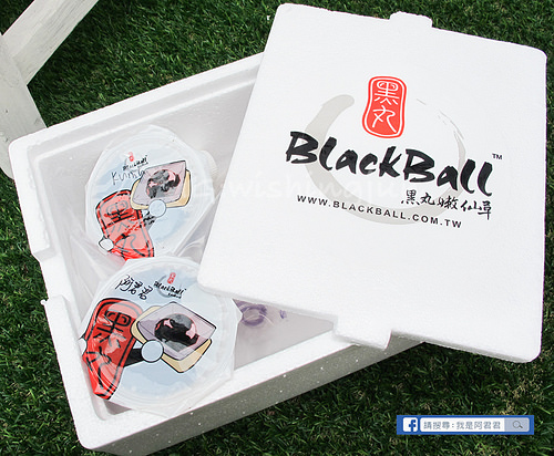 黑丸嫩仙草_阿君君-3918